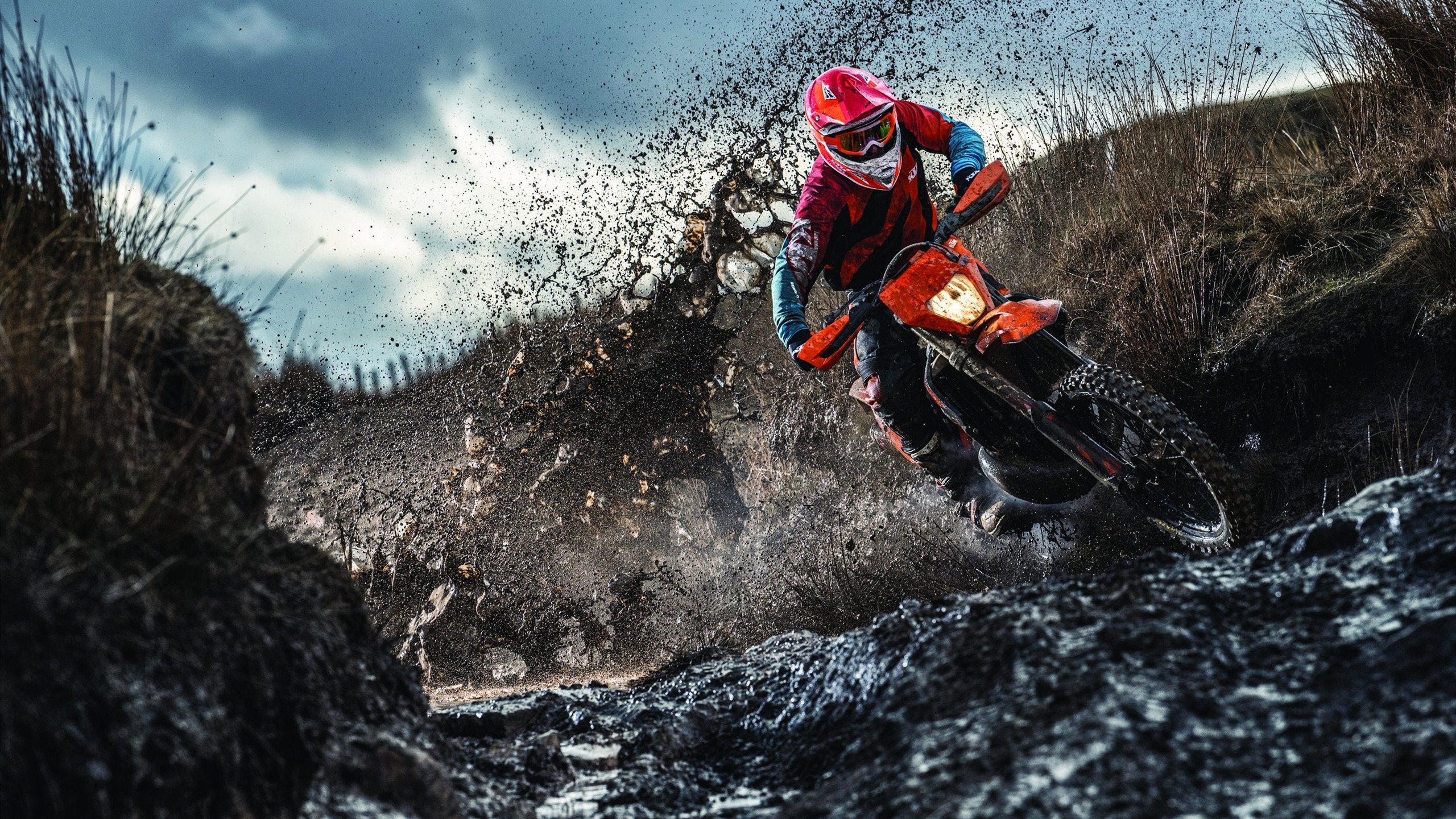 战队官宣全新阵容期待新赛季突破重围，新赛季战队赛规则